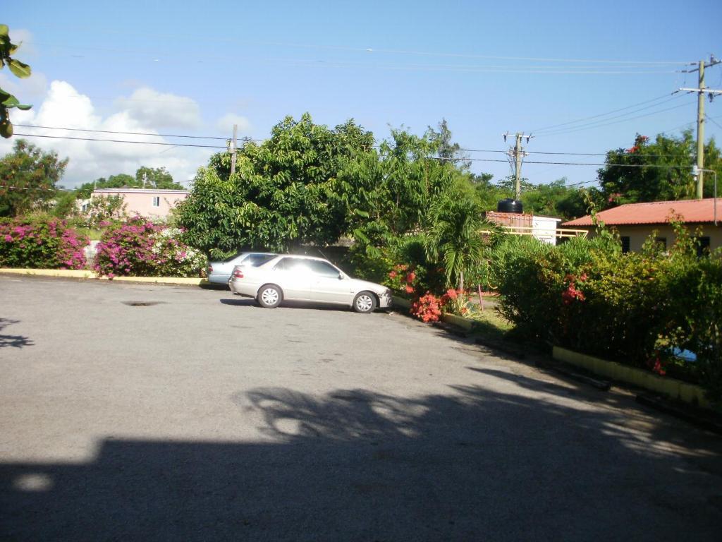 Pineapple Court Hotel Ocho Rios Dış mekan fotoğraf