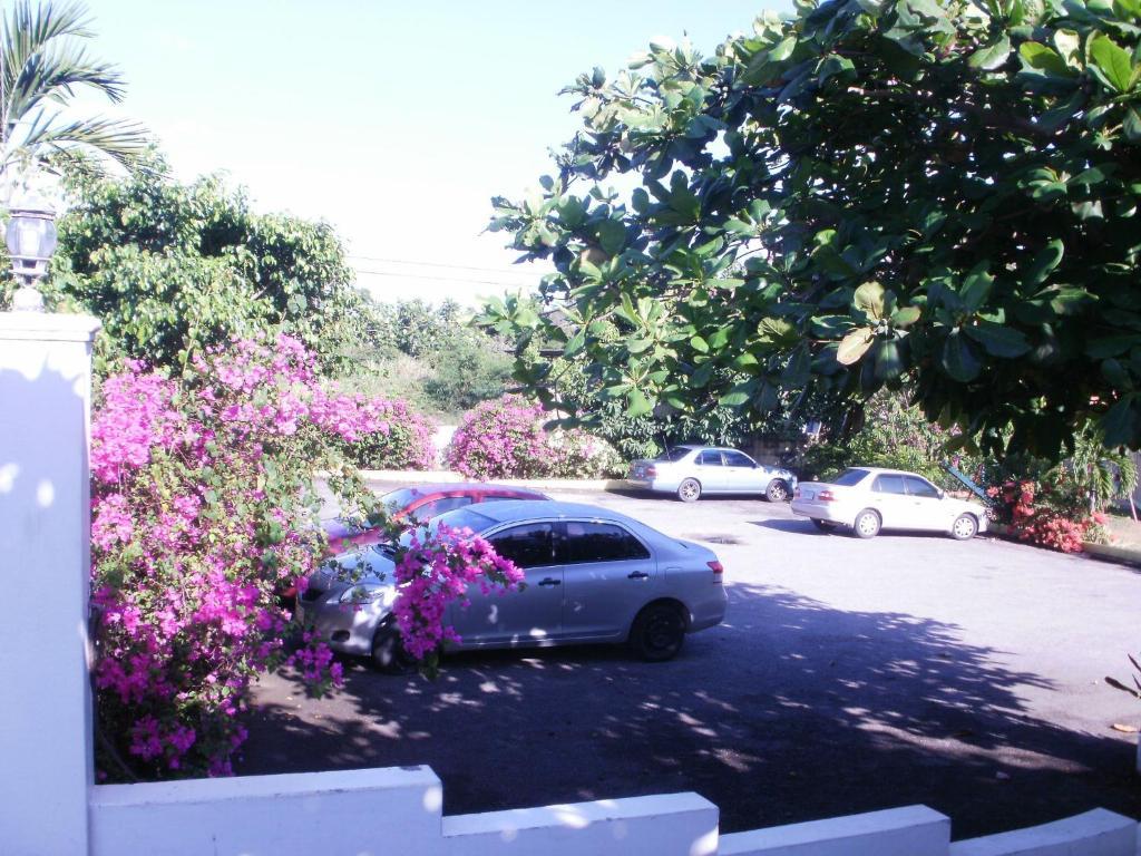 Pineapple Court Hotel Ocho Rios Dış mekan fotoğraf