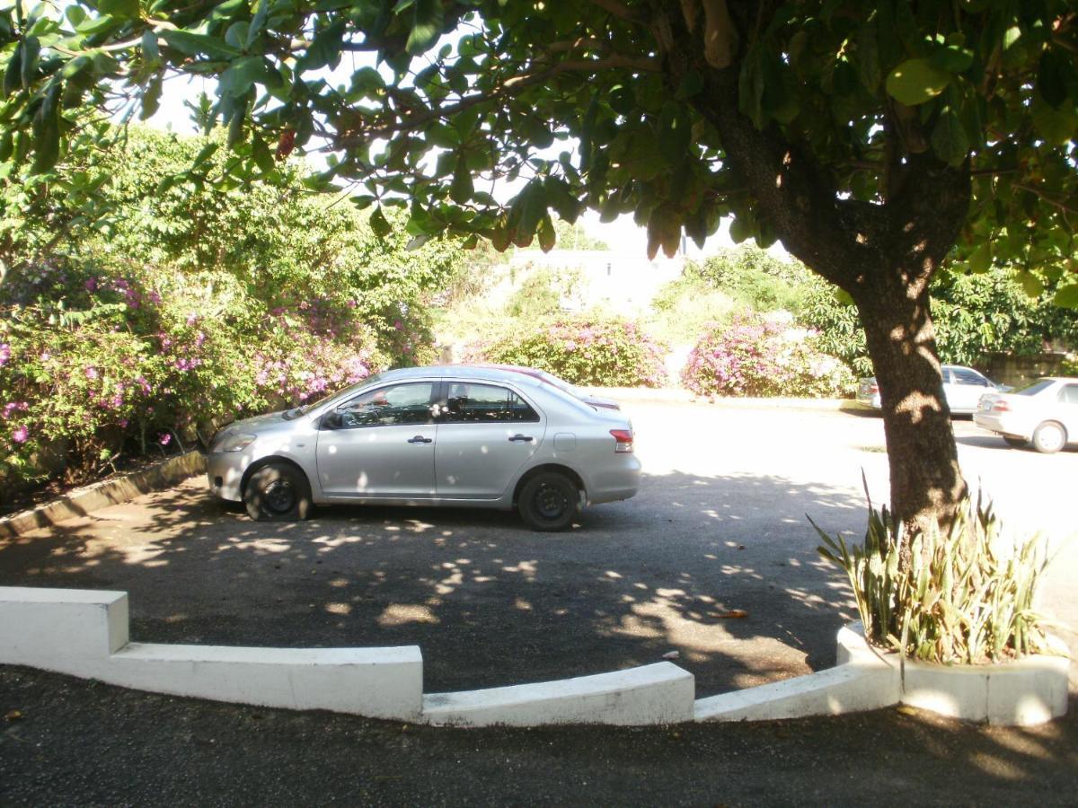 Pineapple Court Hotel Ocho Rios Dış mekan fotoğraf