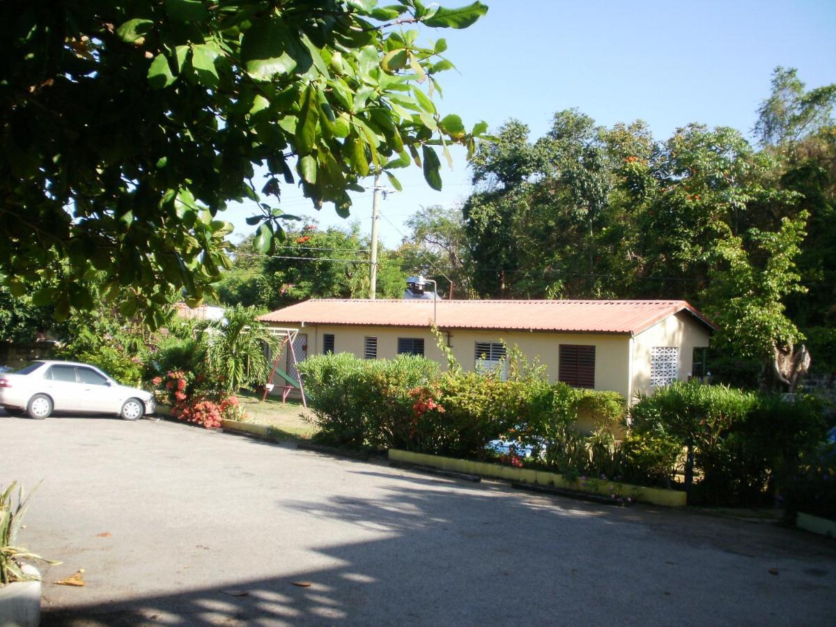 Pineapple Court Hotel Ocho Rios Dış mekan fotoğraf